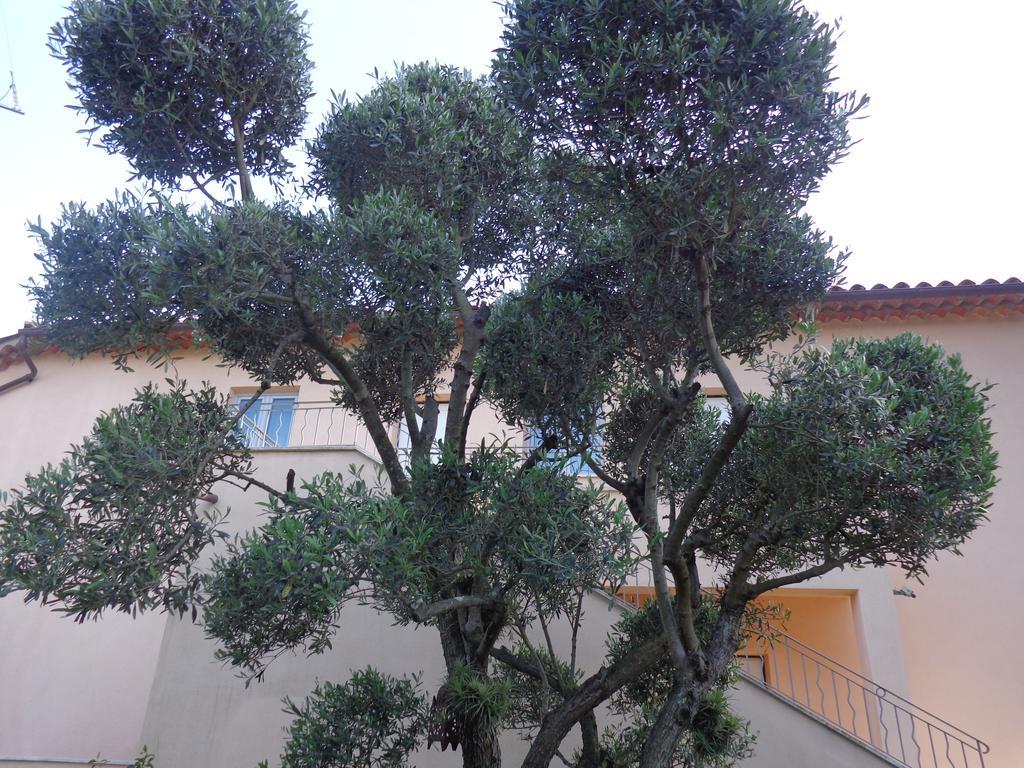 Appartement Villa Angelina Grimaud Exterior photo